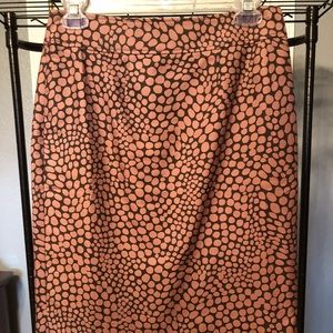 Ann Taylor Skirt